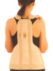 Dorso Lumbar Support
